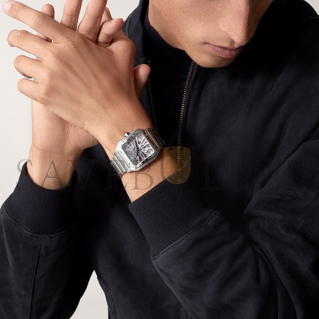 Ca*t*er santos de skeleton watch whsa0015